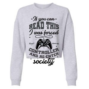 Funny Gamer Re-Enter Society  Cropped Pullover Crew