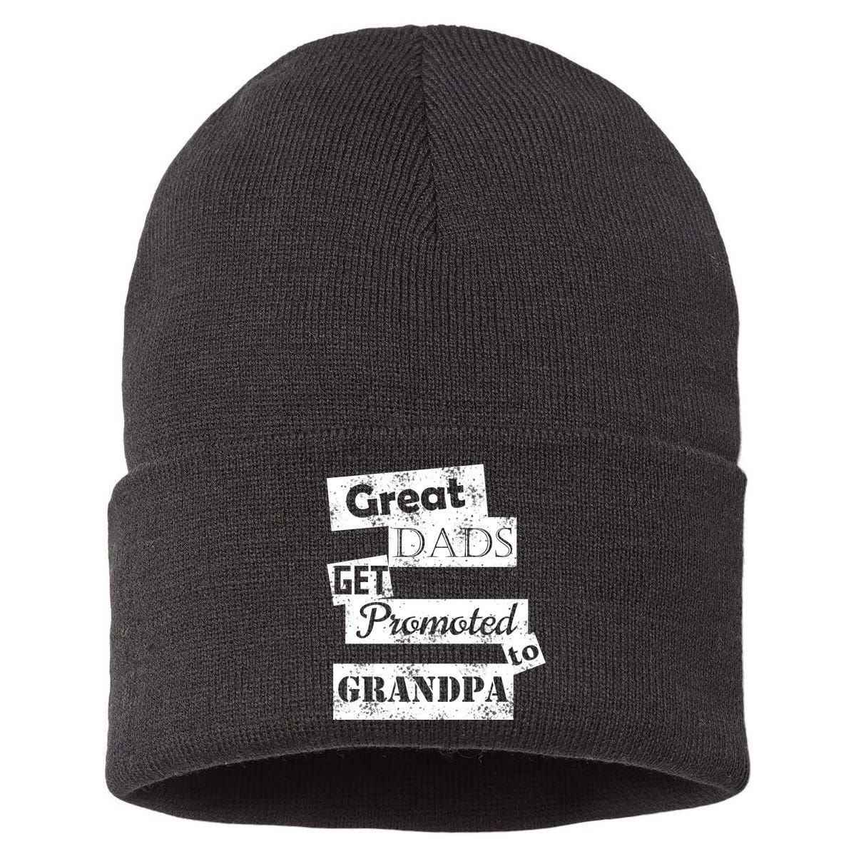 Funny Great Dads Get Promoted To Grandpa Sustainable Knit Beanie