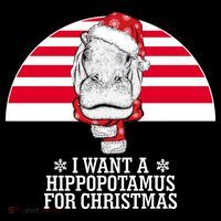 Funny Hippo I Want A Hippopotamus For Christmas Stripe Pom Pom Beanie