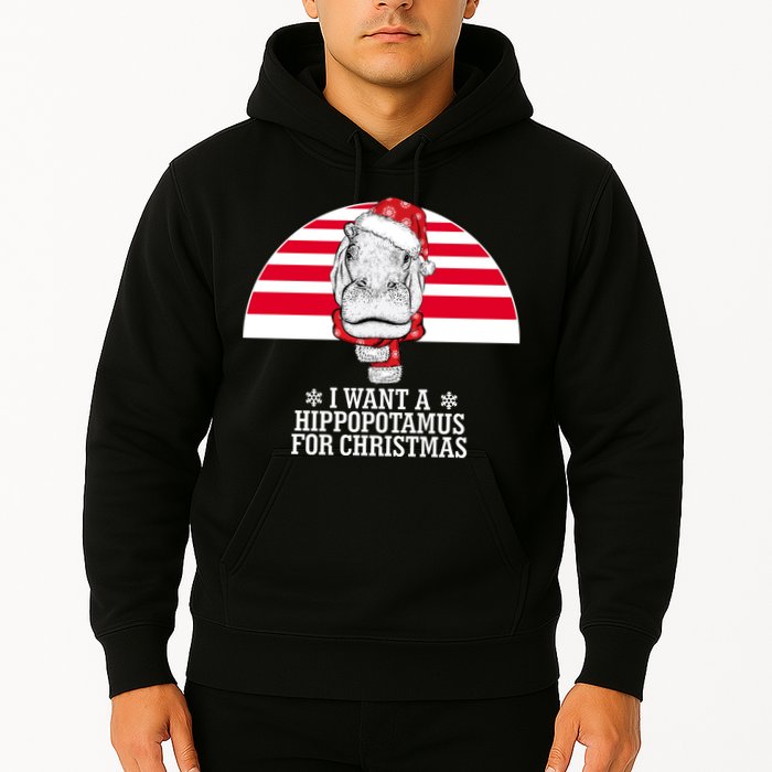 Funny Hippo I Want A Hippopotamus For Christmas Hoodie