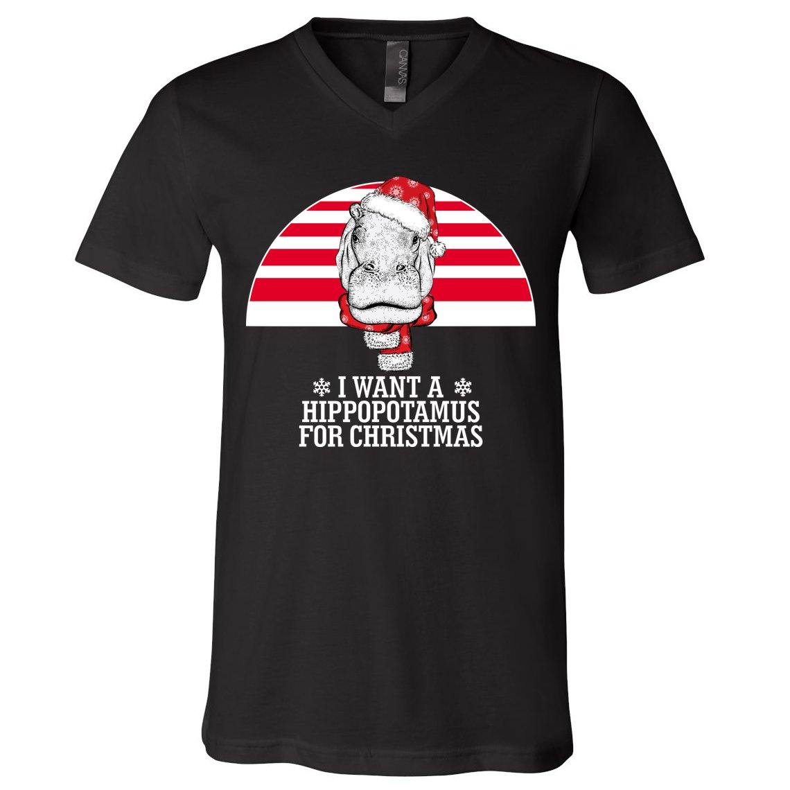 Funny Hippo I Want A Hippopotamus For Christmas V-Neck T-Shirt