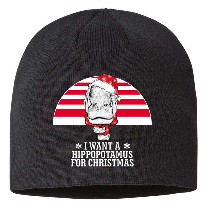Funny Hippo I Want A Hippopotamus For Christmas Sustainable Beanie