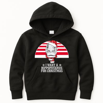 Funny Hippo I Want A Hippopotamus For Christmas Kids Hoodie