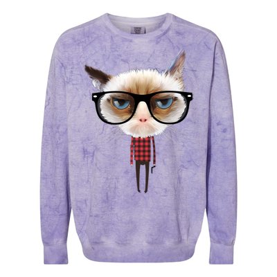 Funny Hipster Cat Colorblast Crewneck Sweatshirt