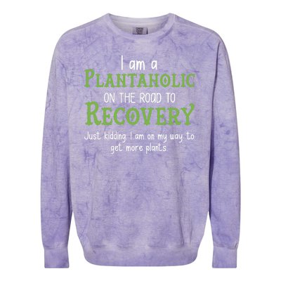 Funny I Am A Plantaholic On the Road To Recovery Colorblast Crewneck Sweatshirt