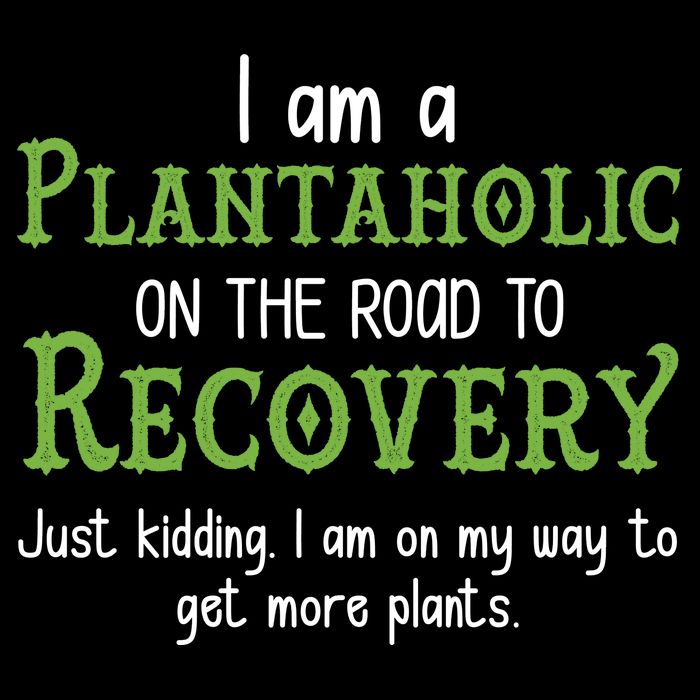 Funny I Am A Plantaholic On the Road To Recovery Tall T-Shirt