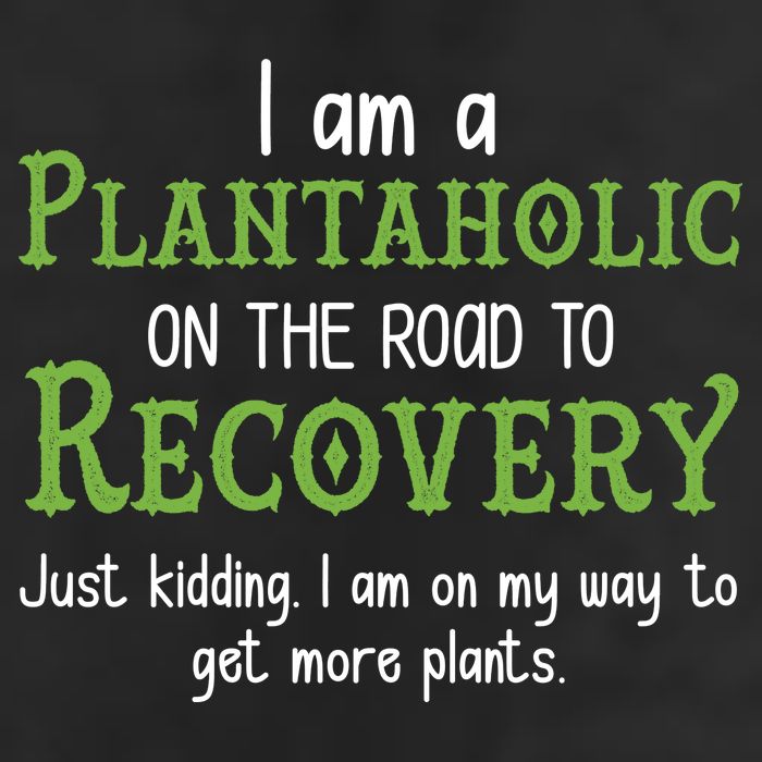 Funny I Am A Plantaholic On the Road To Recovery Adult Drive Performance Visor