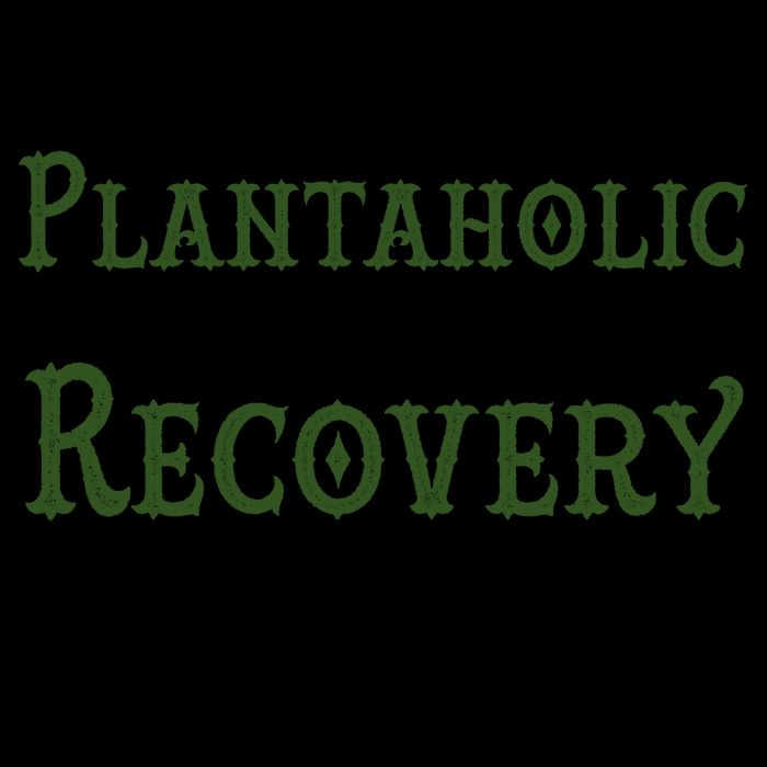Funny I Am A Plantaholic On the Road To Recovery Mug