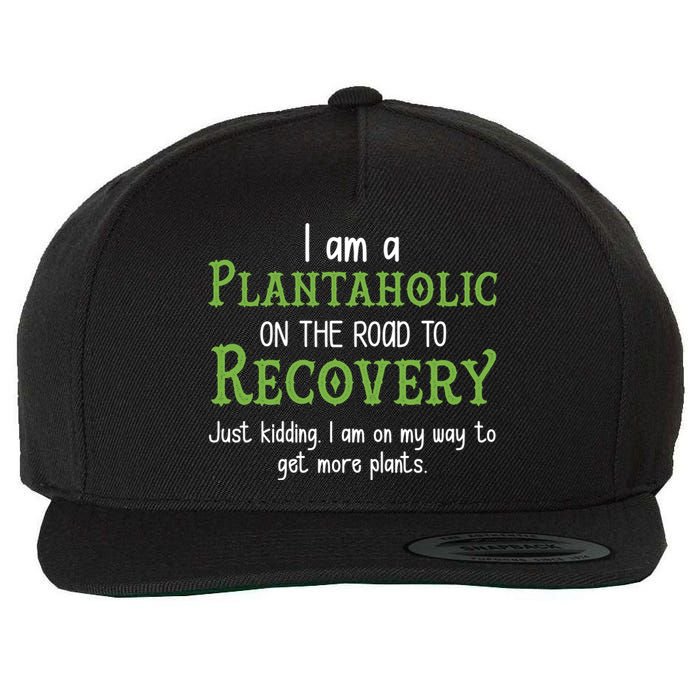 Funny I Am A Plantaholic On the Road To Recovery Wool Snapback Cap