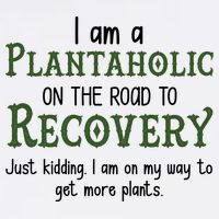 Funny I Am A Plantaholic On the Road To Recovery Garment-Dyed Sweatshirt