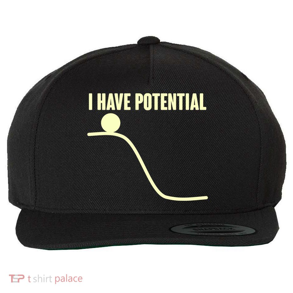 Funny I Have Potential Science  Wool Snapback Cap