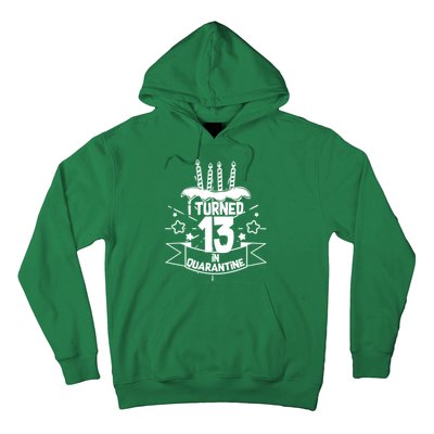 Funny I Turned 13 In Quarantine 13th Birthday Hoodie