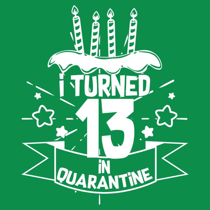 Funny I Turned 13 In Quarantine 13th Birthday Premium T-Shirt