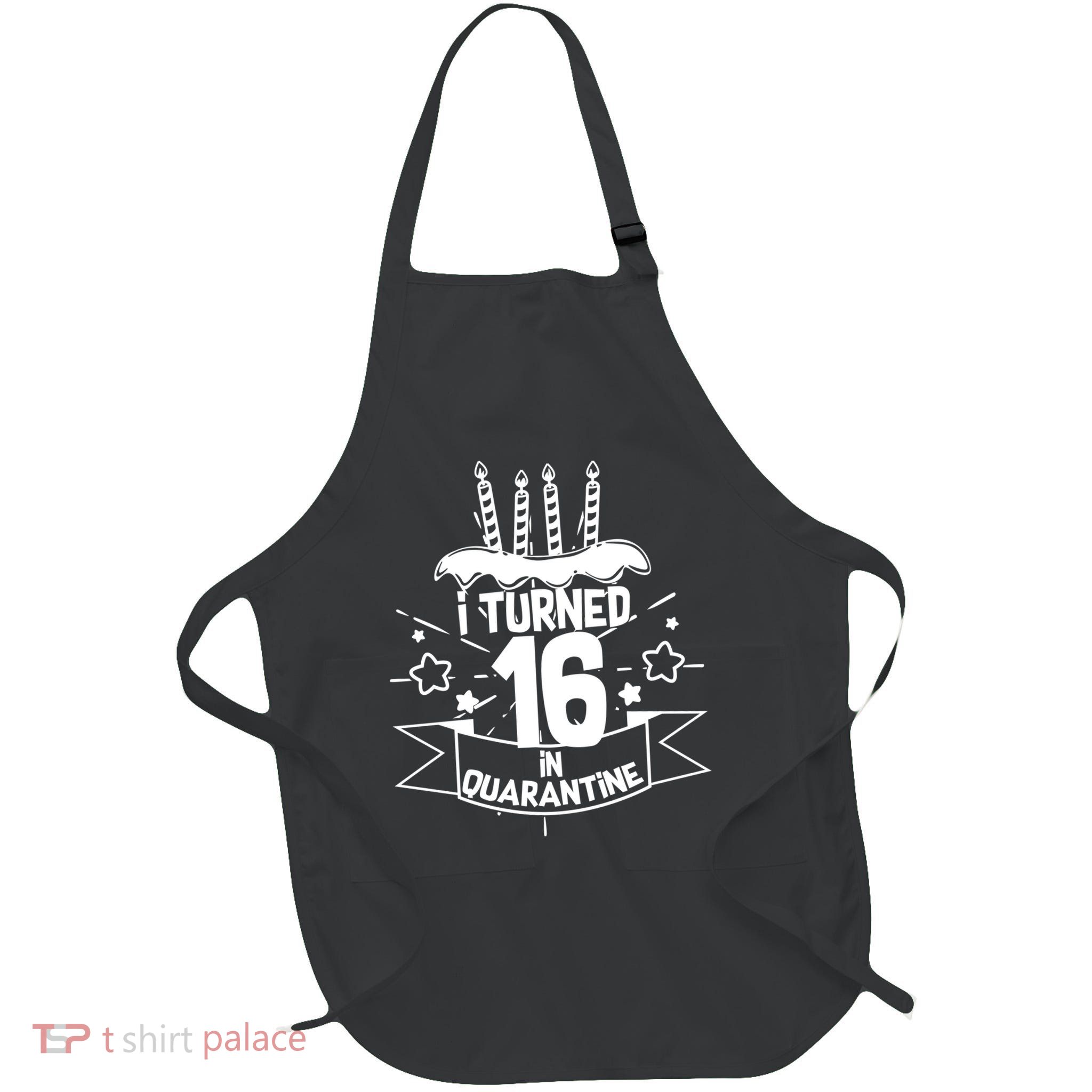 Funny I Turned 16 In Quarantine 16th Birthday Apron