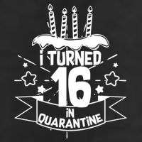 Funny I Turned 16 In Quarantine 16th Birthday Adult Drive Performance Visor