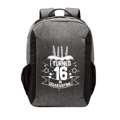 Funny I Turned 16 In Quarantine 16th Birthday Vector Backpack