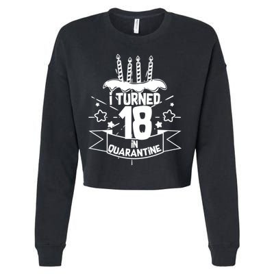 Funny I Turned 18 In Quarantine 18th Birthday Cropped Pullover Crew