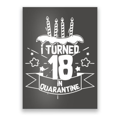 Funny I Turned 18 In Quarantine 18th Birthday Poster