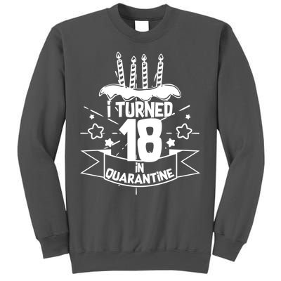 Funny I Turned 18 In Quarantine 18th Birthday Tall Sweatshirt