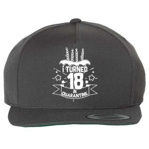 Funny I Turned 18 In Quarantine 18th Birthday Wool Snapback Cap