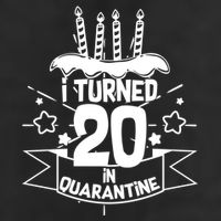 Funny I Turned 20 In Quarantine 20th Birthday Adult Drive Performance Visor
