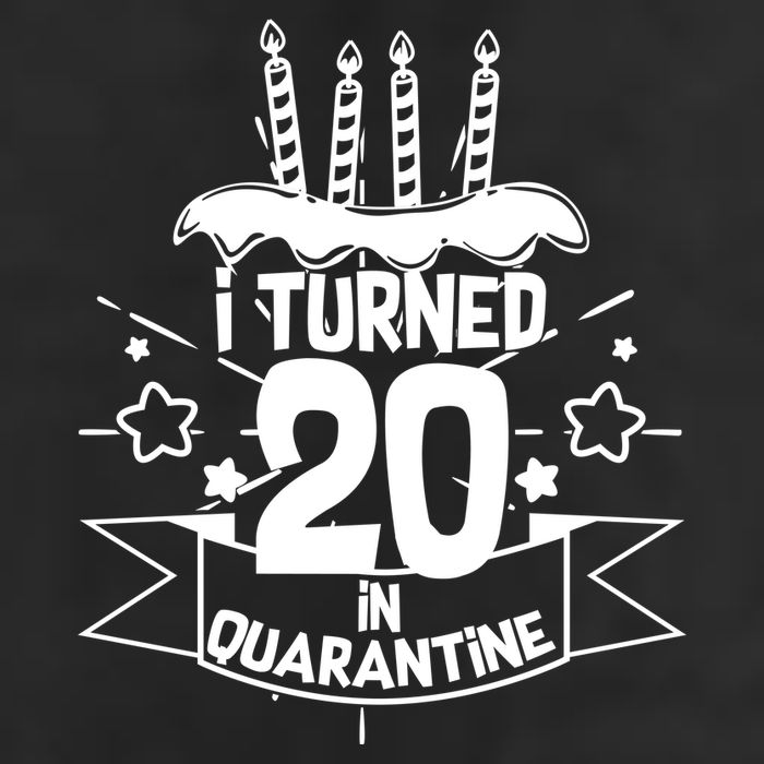 Funny I Turned 20 In Quarantine 20th Birthday Adult Drive Performance Visor