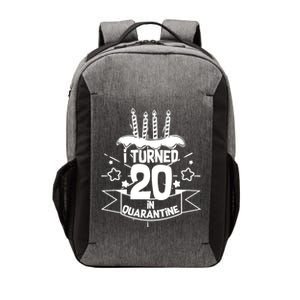 Funny I Turned 20 In Quarantine 20th Birthday Vector Backpack