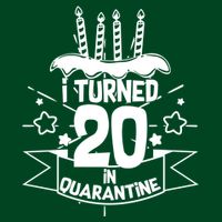 Funny I Turned 20 In Quarantine 20th Birthday Premium T-Shirt