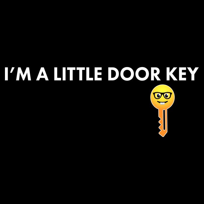 Funny I'm A Little Door Key Visor