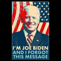 Funny I'm Joe Biden And I Forgot This Message Wool Snapback Cap
