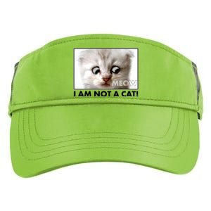 Funny I'm Not A Cat Zoom Lawyer Cat Meme Adult Drive Performance Visor