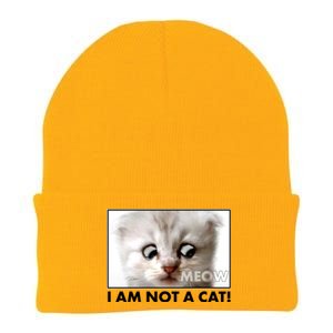 Funny I'm Not A Cat Zoom Lawyer Cat Meme Knit Cap Winter Beanie