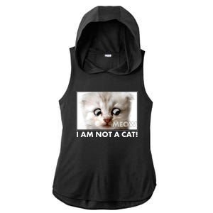 Funny I'm Not A Cat Zoom Lawyer Cat Meme Ladies PosiCharge Tri-Blend Wicking Draft Hoodie Tank