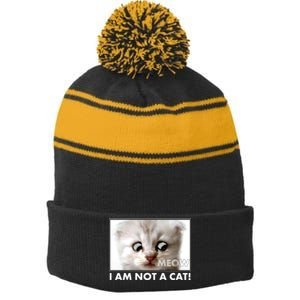 Funny I'm Not A Cat Zoom Lawyer Cat Meme Stripe Pom Pom Beanie