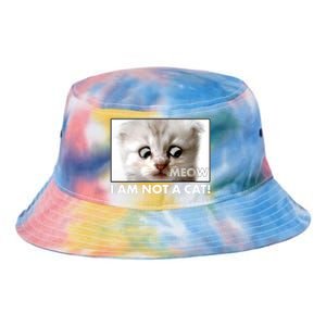 Funny I'm Not A Cat Zoom Lawyer Cat Meme Tie Dye Newport Bucket Hat