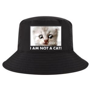 Funny I'm Not A Cat Zoom Lawyer Cat Meme Cool Comfort Performance Bucket Hat