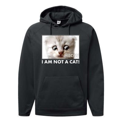 Funny I'm Not A Cat Zoom Lawyer Cat Meme Performance Fleece Hoodie