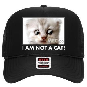 Funny I'm Not A Cat Zoom Lawyer Cat Meme High Crown Mesh Back Trucker Hat