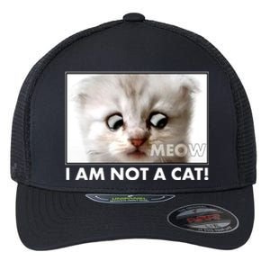 Funny I'm Not A Cat Zoom Lawyer Cat Meme Flexfit Unipanel Trucker Cap