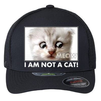 Funny I'm Not A Cat Zoom Lawyer Cat Meme Flexfit Unipanel Trucker Cap