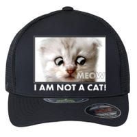 Funny I'm Not A Cat Zoom Lawyer Cat Meme Flexfit Unipanel Trucker Cap