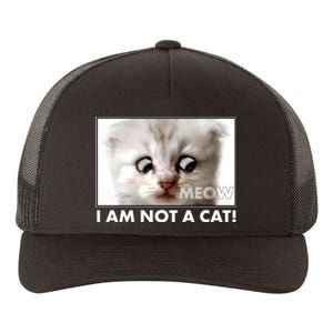 Funny I'm Not A Cat Zoom Lawyer Cat Meme Yupoong Adult 5-Panel Trucker Hat