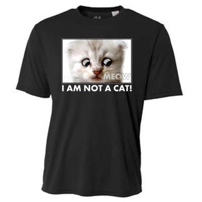 Funny I'm Not A Cat Zoom Lawyer Cat Meme Cooling Performance Crew T-Shirt