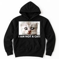 Funny I'm Not A Cat Zoom Lawyer Cat Meme Hoodie