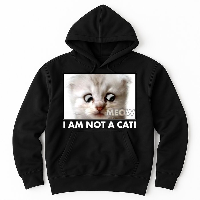Funny I'm Not A Cat Zoom Lawyer Cat Meme Hoodie