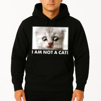 Funny I'm Not A Cat Zoom Lawyer Cat Meme Hoodie