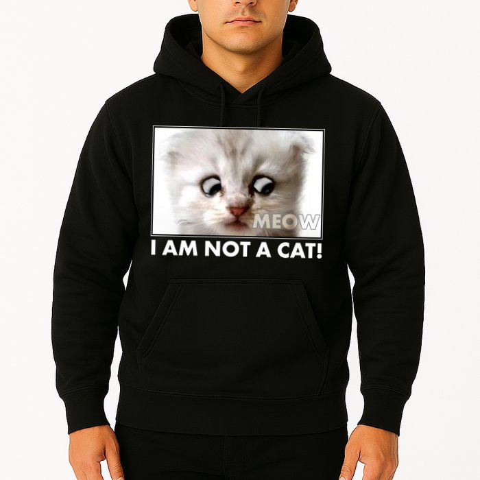 Funny I'm Not A Cat Zoom Lawyer Cat Meme Hoodie