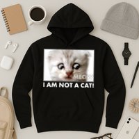 Funny I'm Not A Cat Zoom Lawyer Cat Meme Hoodie