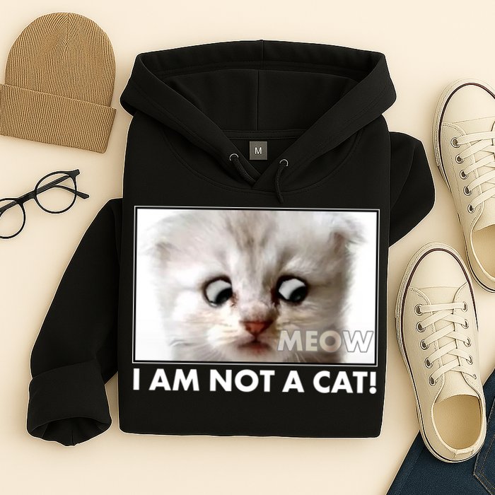 Funny I'm Not A Cat Zoom Lawyer Cat Meme Hoodie