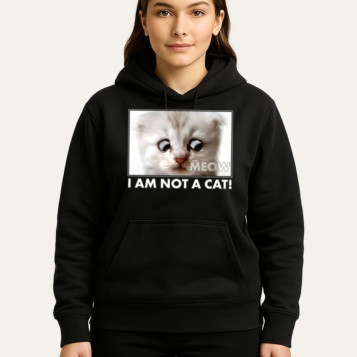 Funny I'm Not A Cat Zoom Lawyer Cat Meme Hoodie